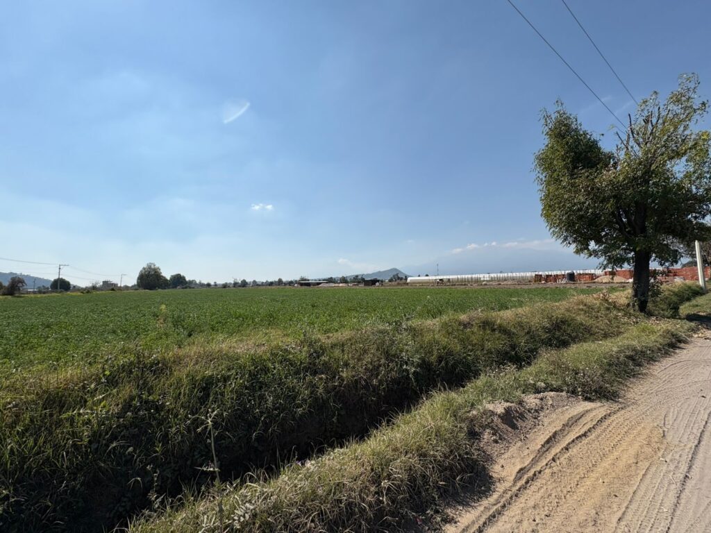 SAN JUAN TUXCO N (10)