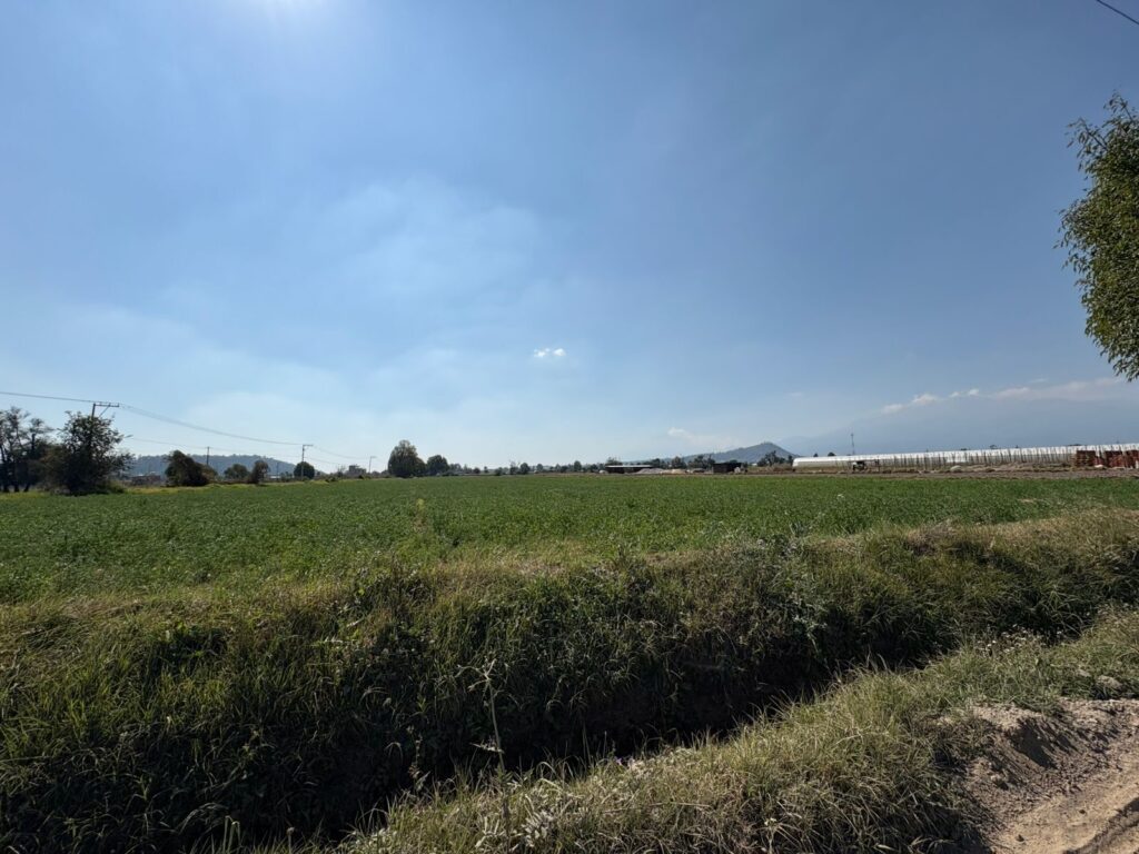 SAN JUAN TUXCO N (11)