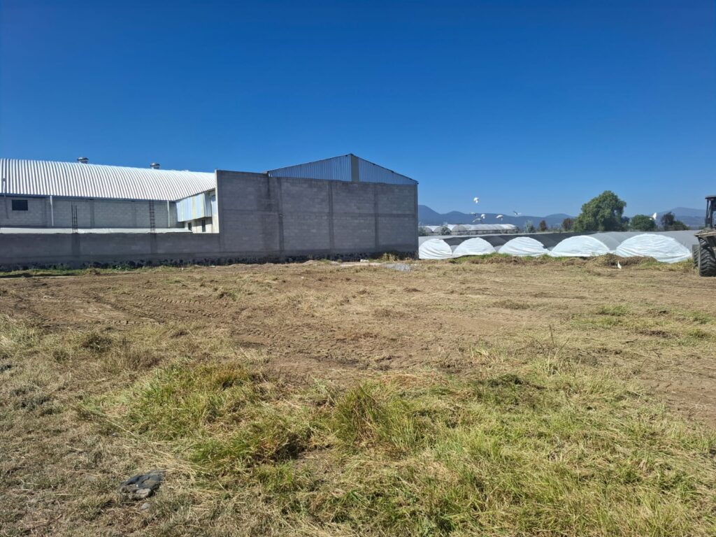 Whats App Image At 1.27.03 PM