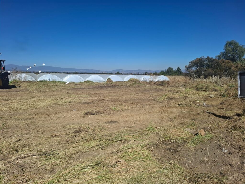 Whats App Image At 1.27.04 PM