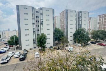 Floresta (10)
