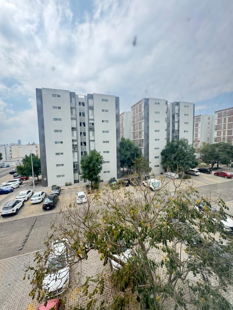 Floresta (10)