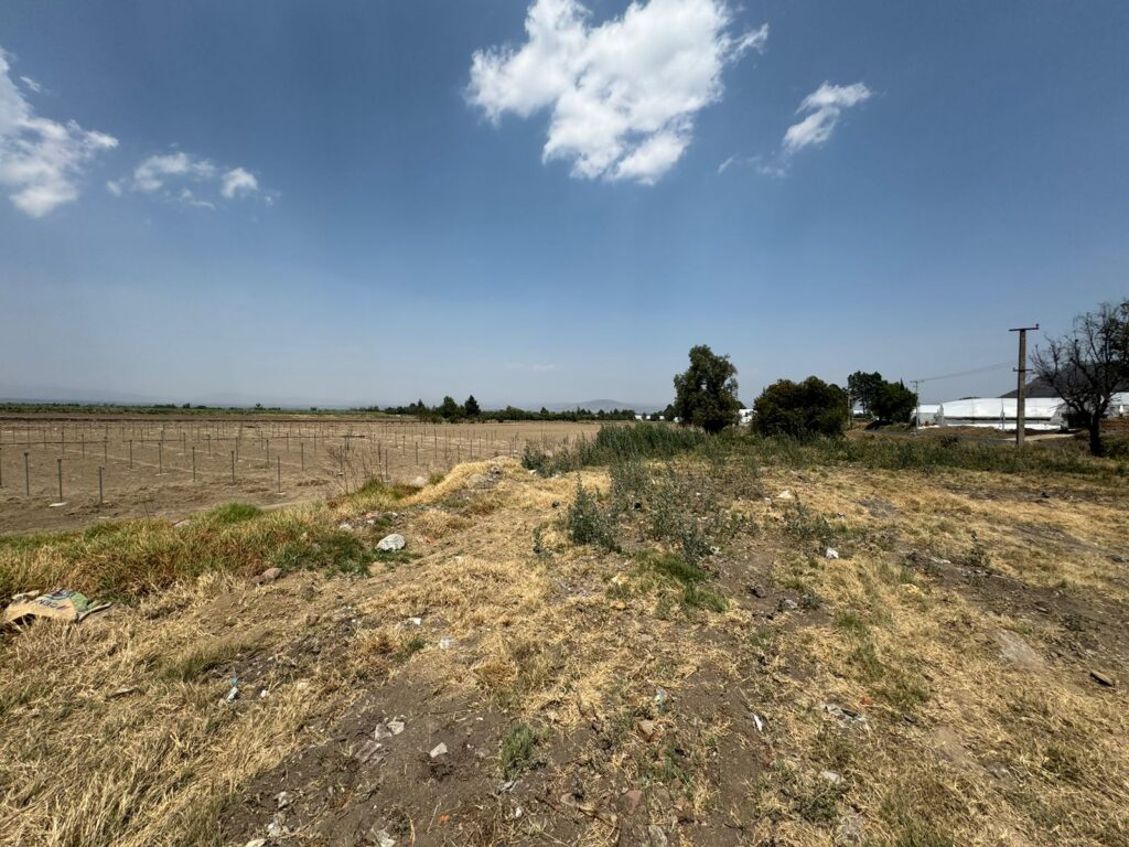 SAN FELIPE TERRENO (2)