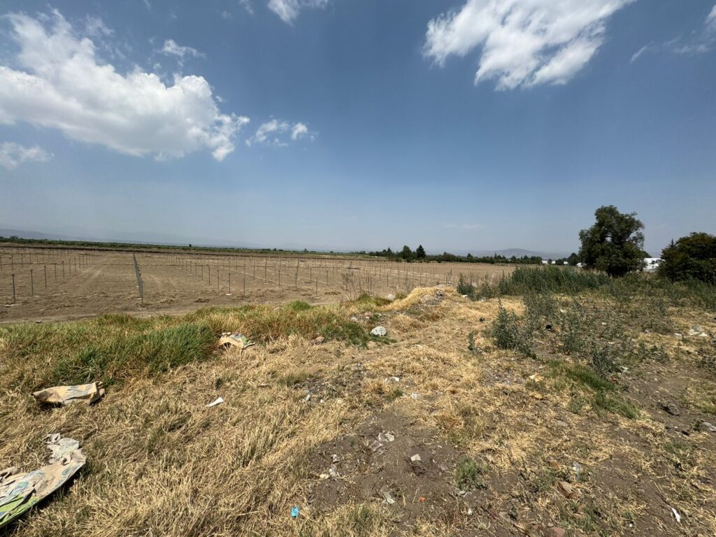 SAN FELIPE TERRENO (3)